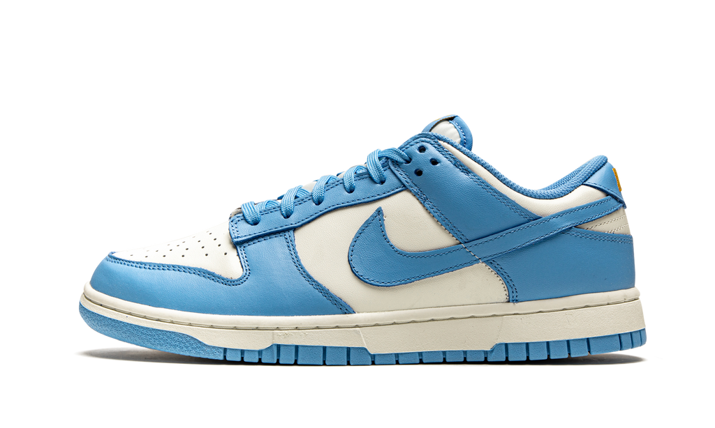 Nike Dunk Low Coast Sneakers