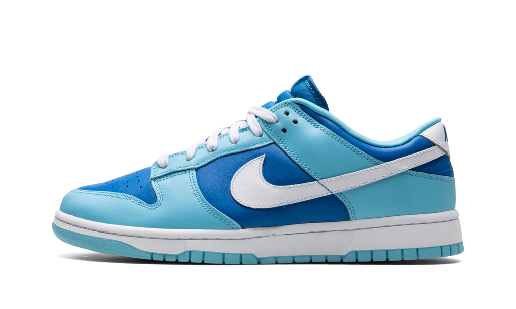 Nike Dunk Low Argon Sneakers