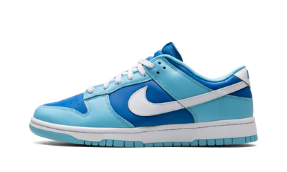 Nike Dunk Low Argon Sneakers