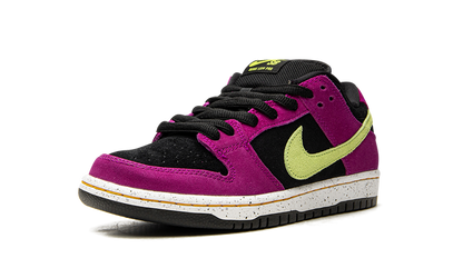 Nike Dunk Low Red SB ACG Terra Plum Sneakers