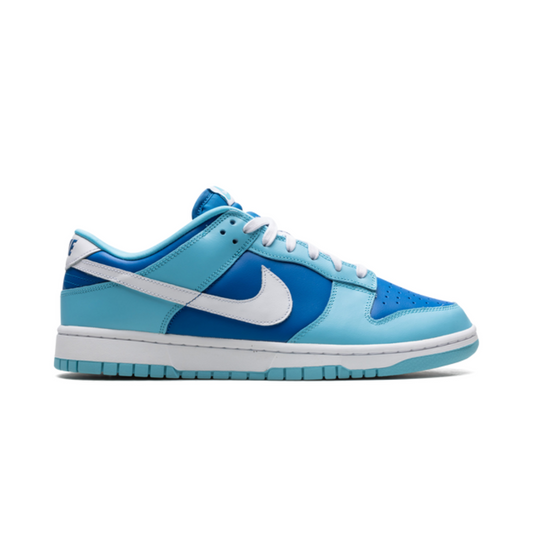 Nike Dunk Low Argon Sneakers