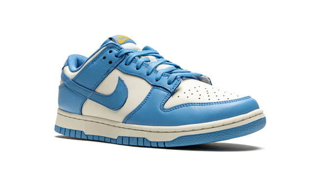 Nike Dunk Low Coast Sneakers