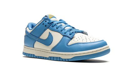 Nike Dunk Low Coast Sneakers