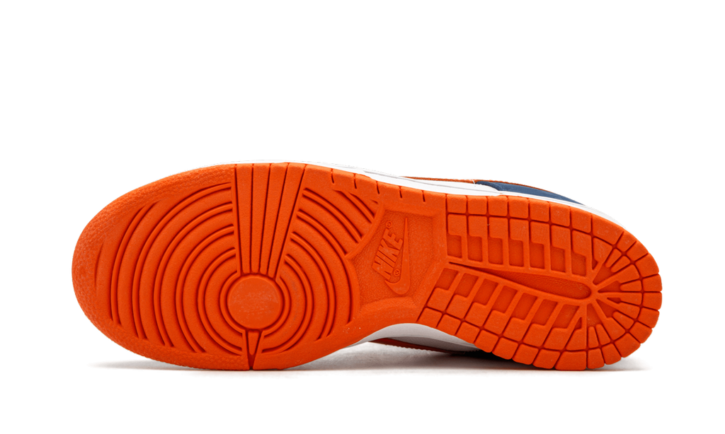 Nike Dunk Low SB Broncos Sneakers