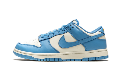 Nike Dunk Low Coast Sneakers