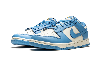 Nike Dunk Low Coast Sneakers