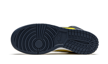 Nike Dunk High Michigan Sneakers