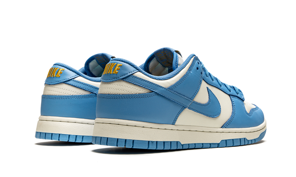 Nike Dunk Low Coast Sneakers