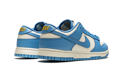 Nike Dunk Low Coast Sneakers