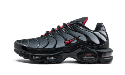 Nike Air Max Blue Plus and Red Sneakers