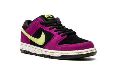 Nike Dunk Low Red SB ACG Terra Plum Sneakers