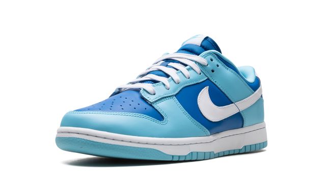 Nike Dunk Low Argon Sneakers