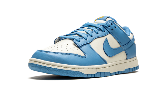 Nike Dunk Low Coast Sneakers