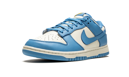 Nike Dunk Low Coast Sneakers