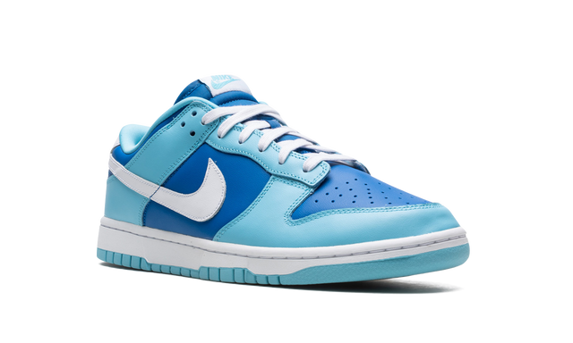 Nike Dunk Low Argon Sneakers