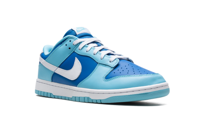 Nike Dunk Low Argon Sneakers
